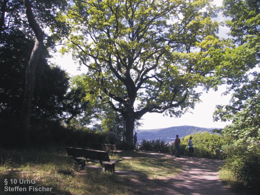 Aussichtspunkt Schillereiche